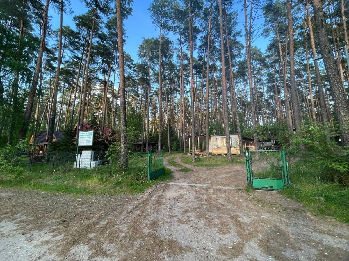 Domek Letniskowy Nad Jeziorem, Las, Mazury Wiartel Maly Екстериор снимка